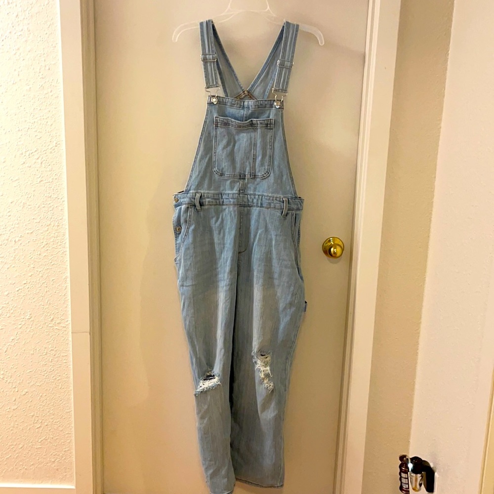 Wild fable overalls